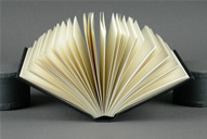 Braudel Case